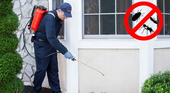 Gercüş Dezenfeksiyon böcek ilaçlama ve haşere kontrolü — ilaclama-tr.com
